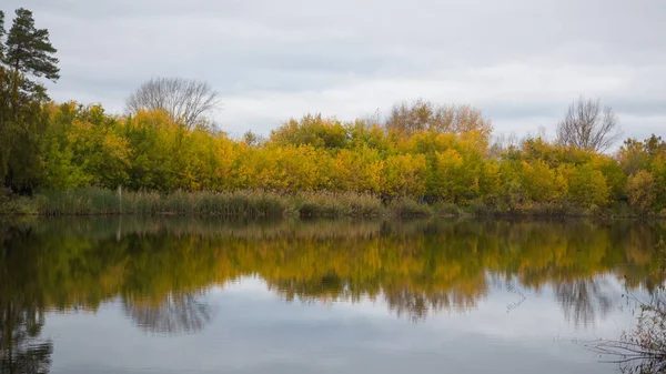 Küçük bir göl Park, sararmış ağaçların ve kıyı. Gökyüzü ve Gölü nün su ağaçlarda yansımasıdır. Çok güzel manzaralı bir yer