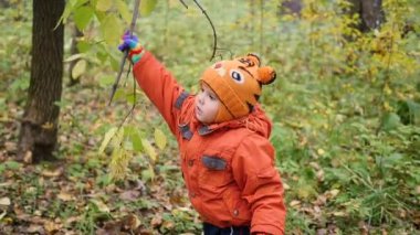 Sonbaharda çocuk eğlence parkı yaprakları ile oynarken temiz havada yürür