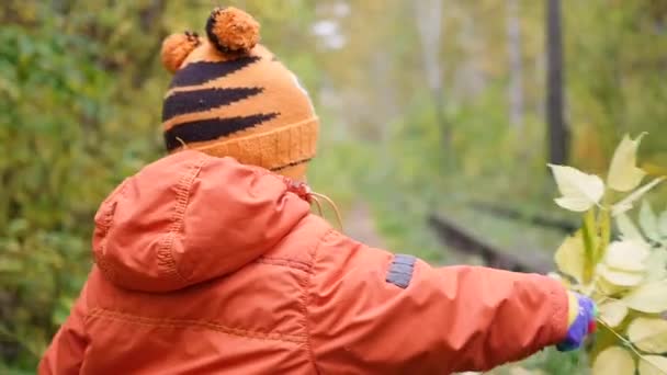 Sonbaharda çocuk eğlence parkı yaprakları ile oynarken temiz havada yürür — Stok video