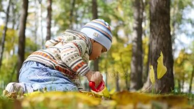 Sonbaharda çocuk eğlence parkı yaprakları ile oynarken temiz havada yürür