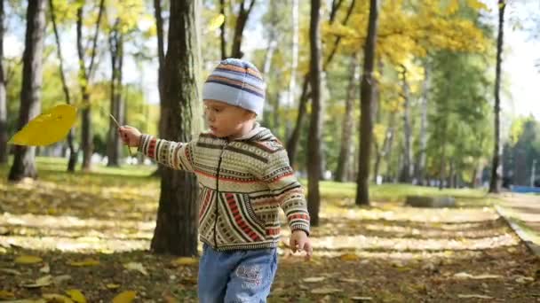 El niño está girando en otoño Parque con hojas amarillas, Camina al aire libre — Vídeos de Stock