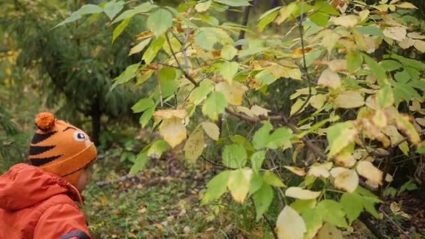 Niño en otoño Parque divertirse jugando con hojas, Camina al aire libre. Paisaje otoñal — Vídeos de Stock