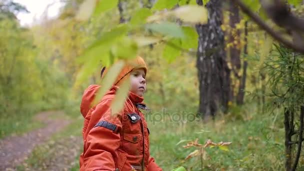 Enfant à l'automne Parc s'amuser à jouer avec les feuilles, Promenades dans l'air frais 