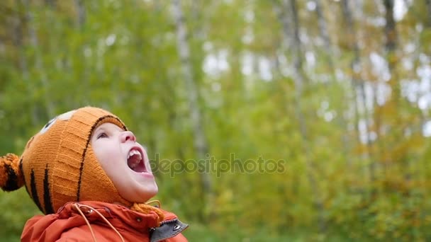 秋の子公園楽しんで遊んで、笑って、新鮮な空気の中を歩く — ストック動画