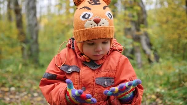 Niño en otoño Parque divertirse jugando, Camina al aire libre. Paisaje de otoño. Un hermoso lugar escénico — Vídeos de Stock