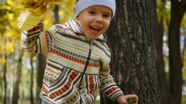 Child in autumn Park having fun playing with leaves, Walks in the fresh air — Stock Video