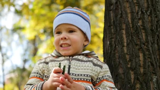 Ребенок в осеннем парке веселится, играет и смеется, гуляет на свежем воздухе — стоковое видео