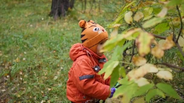 Barn i höst Park att ha kul spela med blad, promenader i den friska luften — Stockvideo