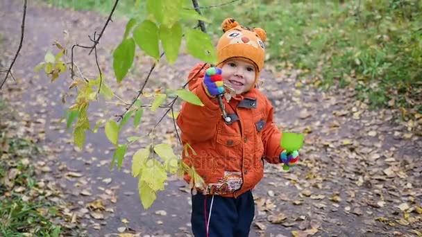 Dítě na podzim Park baví hrát si s listy, procházky na čerstvém vzduchu. Podzimní krajina — Stock video