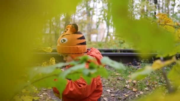 Niño en otoño Parque divertirse jugando con hojas, Camina al aire libre. Paisaje de otoño. Un hermoso lugar escénico — Vídeos de Stock