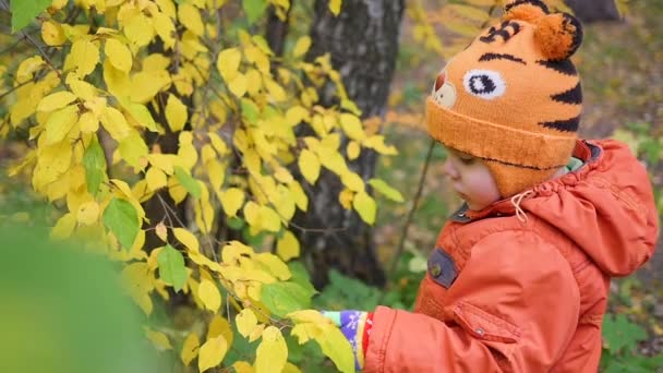 Bambino in autunno Parco divertendosi a giocare con le foglie, passeggiate all'aria aperta. Paesaggio d'autunno. Un bel posto panoramico — Video Stock