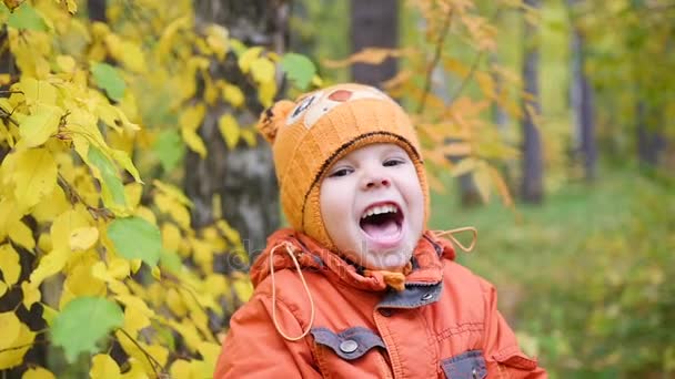Bambino in autunno Parco divertendosi giocando e ridendo, passeggiando all'aria aperta. Un bel posto panoramico — Video Stock