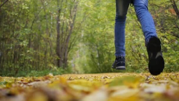 El tipo hace una carrera en otoño Park, hojas amarillas yacen bajo los pies. Deportes al aire libre. Paisaje de otoño. Un hermoso lugar escénico — Vídeos de Stock