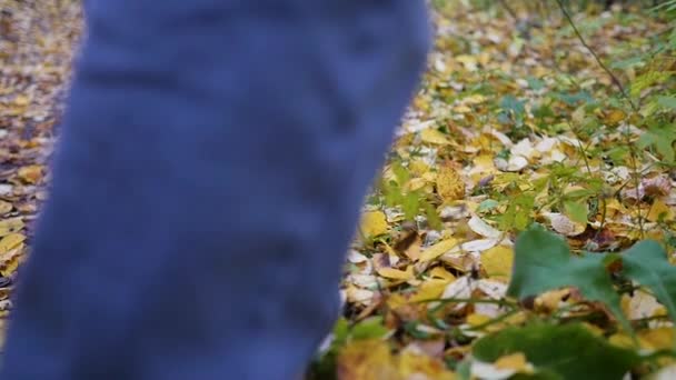 Junge spaziert im Herbstpark, gelbe Blätter liegen unter den Füßen. Sport im Freien. — Stockvideo