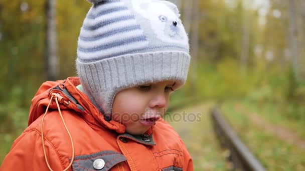 Niño en otoño Parque divertirse jugando, Camina al aire libre. Paisaje de otoño. Un hermoso lugar escénico — Vídeos de Stock