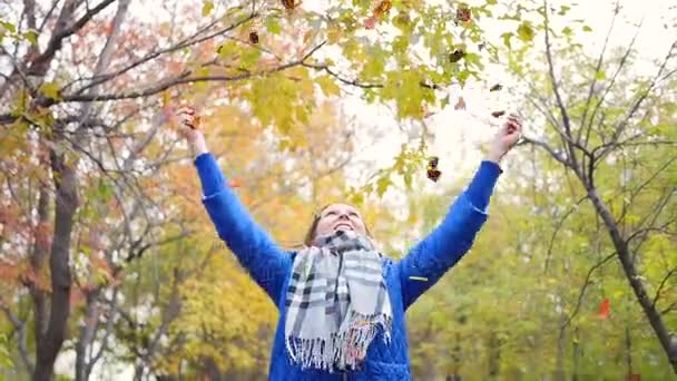 Girl in autumn Park throws up yellow leaves. Laughing and smiling happy girl — Stock Video