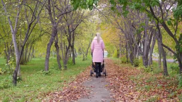 Девушка с коляской гуляет по осеннему переулку. Прогулка с ребенком на открытом воздухе — стоковое видео