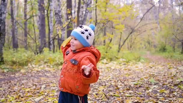 秋季儿童公园玩得很玩树叶，走在清新的空气中 — 图库视频影像