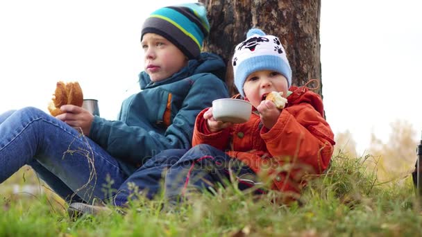 I höst Park barnen sitter på gräsmattan och dricka varm te, promenad i friska luften — Stockvideo