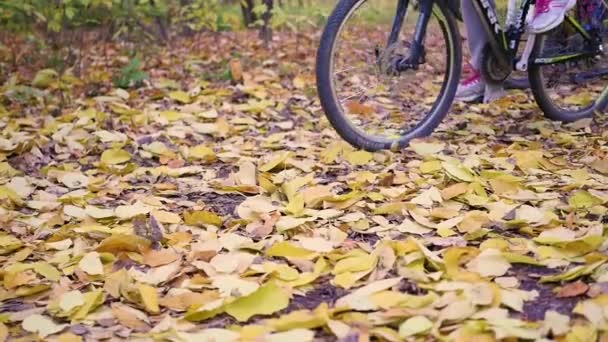 Ποδηλάτες περνώντας στα κίτρινα φύλλα στο δρομάκι. Τροχός γκρο πλαν, υπαίθρια αθλήματα — Αρχείο Βίντεο