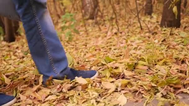 Fiú őszi parkban sétálni, sárga levelek laikus tiporva. Sport a szabadban. — Stock videók