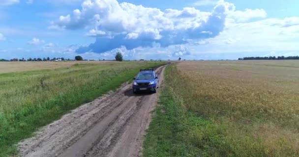 Samochód jeździ na drodze krajowej wzdłuż pszenicy. Piękny krajobraz z wysokości. Strzelanie do drona. — Wideo stockowe