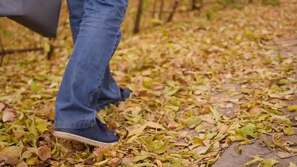 Niño camina en el Parque de Otoño, hojas amarillas yacen bajo los pies. Deportes al aire libre . — Vídeos de Stock