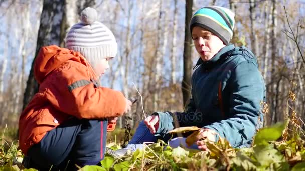 Barn i höst Park att ha kul spela med bladen, promenader i den friska luften. Höstlandskap. En vacker naturskön plats — Stockvideo