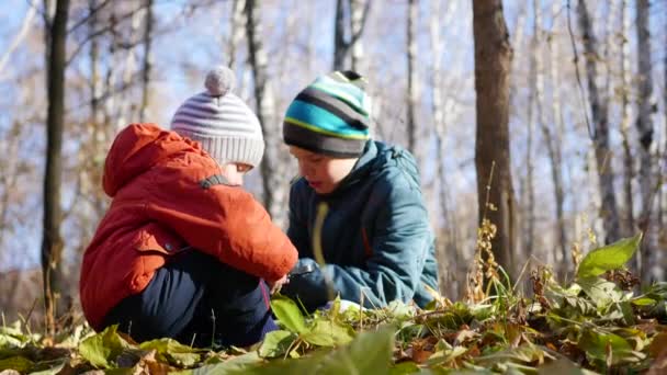 Děti na podzim Park baví hrát si s listy, procházky na čerstvém vzduchu. Podzimní krajina. Krásné vyhlídkové místo — Stock video