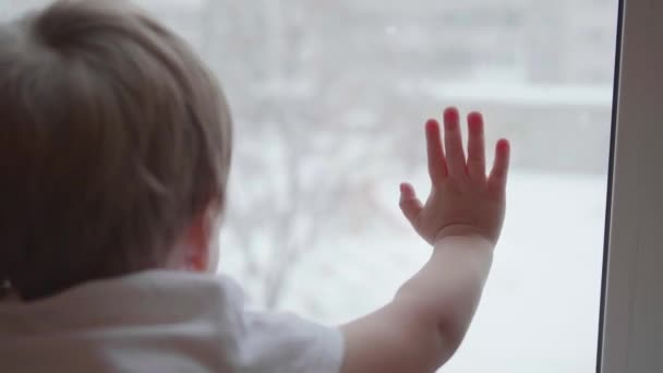 Un niño se para cerca de una ventana y observa caer nieve en la calle. La mano del primer plano en la ventana de cristal — Vídeo de stock