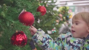 Baba ve oğul bir Noel ağacı dükkanda seçin. Noel oyuncaklar ve Noel ağaçları Noel'e kadar satışı. Sevdikleriniz için Noel hediyeleri