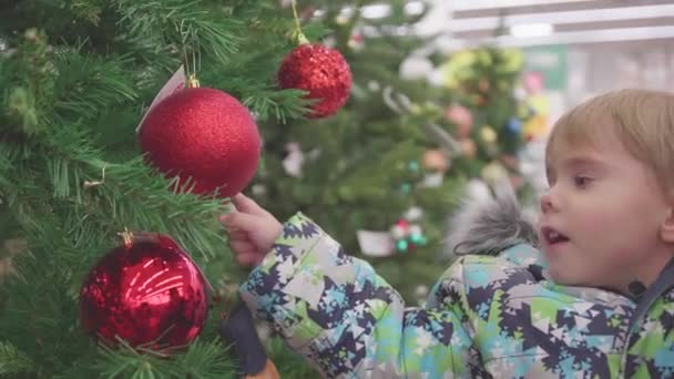 Padre e hijo eligen un árbol de Navidad en la tienda. Venta navideña de juguetes y árboles de Navidad hasta Navidad. Regalos de Navidad para seres queridos — Vídeos de Stock