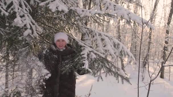 Flickan går i Vinterparken. Återställer snön från träden. Underhållning utomhus på vintern — Stockvideo