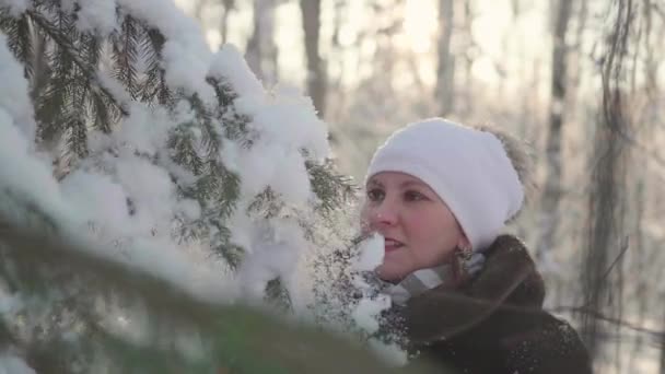 Дівчина гуляє в зимовому парку. Скидає сніг з дерев. Розваги на відкритому повітрі взимку — стокове відео