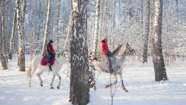 Семья в зимнем парке, прогулка на лошадях. Верховая езда. Прогулка на свежем воздухе — стоковое видео