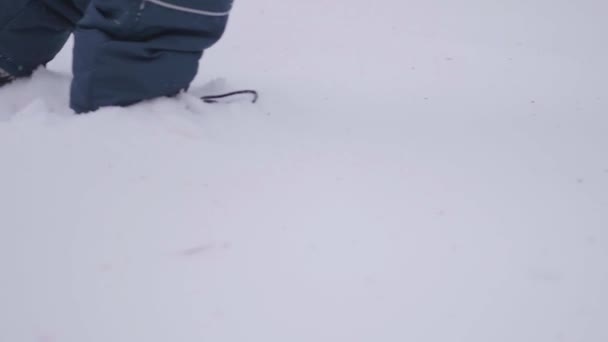 Fötter närbild kommer genom djup snö. Promenad i friska luften — Stockvideo