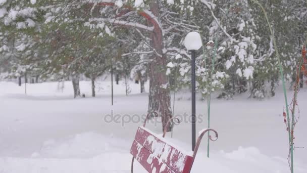 Opady śniegu w winter Park. Zimowy mroźny dzień — Wideo stockowe