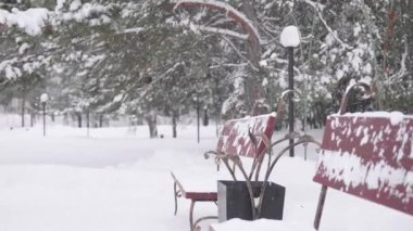 Kış Park kar yağışı. Soğuk kış günü