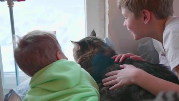 Zwei Kinder mit einer Katze liegen auf dem Boden und schauen aus dem Fenster. die Freundschaft zwischen Haustieren und Kindern — Stockvideo