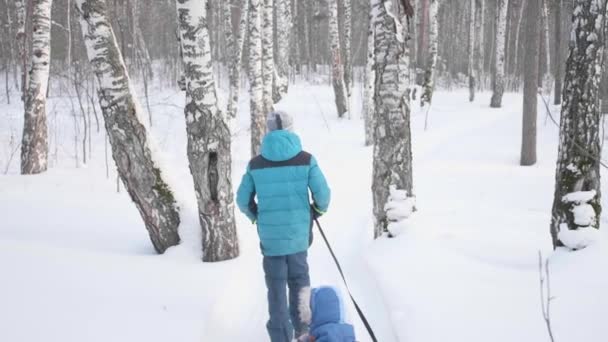 Двое детей гуляют в зимнем парке. Ездить на санях. Активный отдых на природе и прогулки — стоковое видео