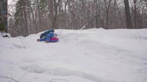 Двое детей едут на снежном холме на санях. Дети падают с санями. Спорт и развлечения — стоковое видео