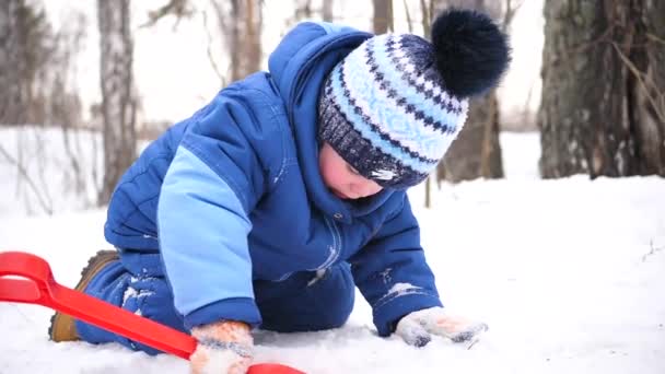 Een klein kind spelen met sneeuw in de winter Park. Zonnige winterdag. Pret en spelen in de frisse lucht. — Stockvideo