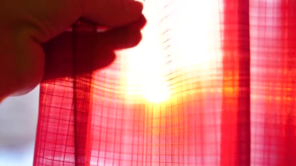 La chica toca las cortinas rojas y juega con sus manos a través de los rayos del sol. Mano de cerca — Vídeo de stock