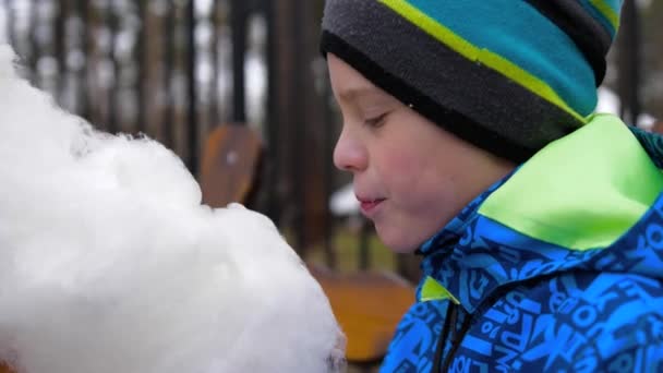 Barnet äta sockervadd i parken. Söta och luftig dessert — Stockvideo