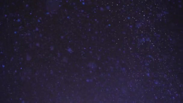 Snöfall på en mörk himmel. Snöflingor lyser upp av det starka ljuset från lyktor — Stockvideo