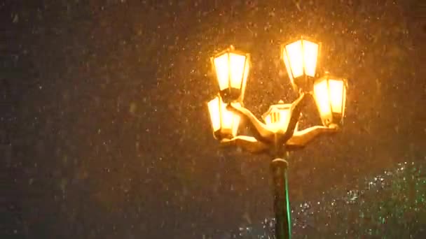 Sníh padá na tmavou oblohu. Sněhové vločky jsou osvětleny jasným světlem luceren — Stock video
