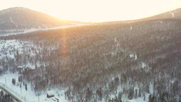 Güneşli bir günde kış ormanı. Karla kaplı köknar. Hafif kar yağışı. Yukarıdan güzel manzara — Stok video
