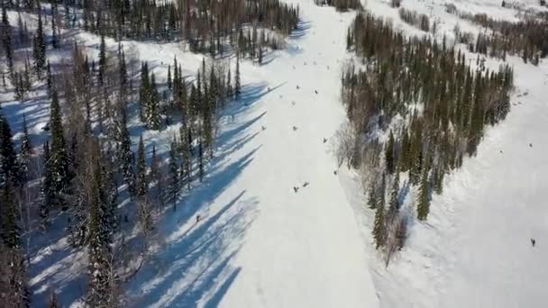 Σκι. σκιέρ και snowboarders κυλήσει κάτω από την πίστα. Αεροφωτογραφία σκιέρ που κατεβαίνει μεγάλη πίστα σκι — Αρχείο Βίντεο