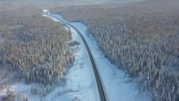 Snelweg door het winterbos, luchtfotografie van Uavs. Auto 's op de snelweg. De sneeuw op de bomen — Stockvideo