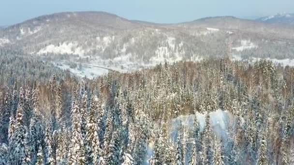 Vinterskog en solig dag. Snötäckta förstadier. Lätt snöfall. Vacker utsikt uppifrån — Stockvideo